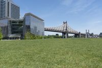 New York City Urban Park: A Tranquil Grass Lawn