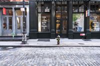 New York City: Vibrant Neighborhood and Cobblestone Streets