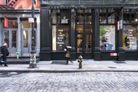 New York City: Vibrant Neighborhood and Cobblestone Streets