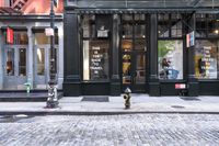 New York City: Vibrant Neighborhood and Cobblestone Streets