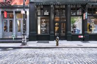 New York City: Vibrant Neighborhood and Cobblestone Streets