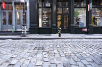 New York City: Vibrant Neighborhood and Cobblestone Streets