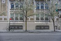 a bicycle parked along the side of a building by a tree filled street curb with no cars