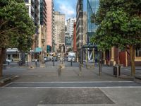 a city street with many trees and buildings in the background, while on the sidewalk is a pedestrian crossing