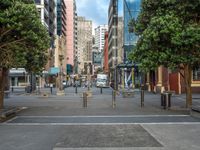 a city street with many trees and buildings in the background, while on the sidewalk is a pedestrian crossing