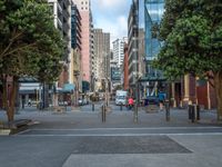 a city street with many trees and buildings in the background, while on the sidewalk is a pedestrian crossing