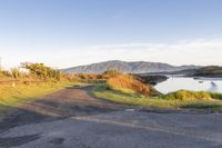 Coastal Landscape of New Zealand at Dawn