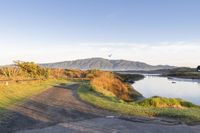 Coastal Landscape of New Zealand at Dawn