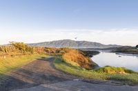 Coastal Landscape of New Zealand at Dawn