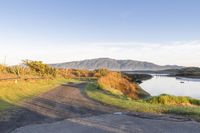 Coastal Landscape of New Zealand at Dawn