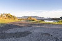 Coastal Landscape of New Zealand at Dawn