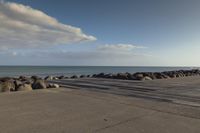 New Zealand Coastal Landscape at Dawn: A Serene Ocean View