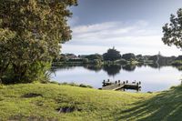 Coastal Landscape in New Zealand: A Nature Park Experience