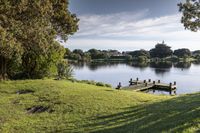 Coastal Landscape in New Zealand: A Nature Park Experience