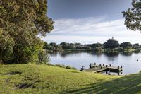 Coastal Landscape in New Zealand: A Nature Park Experience