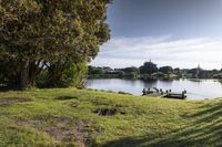 Coastal Landscape in New Zealand: A Nature Park Experience