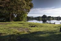 Coastal Landscape in New Zealand: A Nature Park Experience