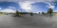 an outside view of an empty parking lot with cars in the parking lot and trees growing