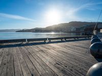 New Zealand Coastal Landscape: Bathed in Sunshine