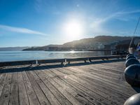 New Zealand Coastal Landscape: Bathed in Sunshine