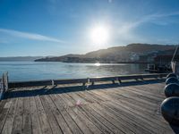 New Zealand Coastal Landscape: Bathed in Sunshine