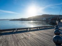 New Zealand Coastal Landscape: Bathed in Sunshine