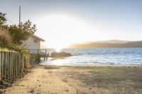 sun shining down on a beach from the water and trees by a wooden fence in the foreground