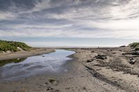 the sandy shore is lined with rocks and green plants, next to a stream that is not clear, and has been washed and wet