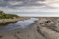 the sandy shore is lined with rocks and green plants, next to a stream that is not clear, and has been washed and wet