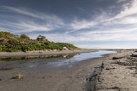 the sandy shore is lined with rocks and green plants, next to a stream that is not clear, and has been washed and wet