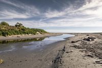 the sandy shore is lined with rocks and green plants, next to a stream that is not clear, and has been washed and wet