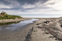 the sandy shore is lined with rocks and green plants, next to a stream that is not clear, and has been washed and wet