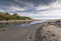 the sandy shore is lined with rocks and green plants, next to a stream that is not clear, and has been washed and wet