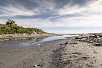 the sandy shore is lined with rocks and green plants, next to a stream that is not clear, and has been washed and wet