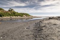 the sandy shore is lined with rocks and green plants, next to a stream that is not clear, and has been washed and wet