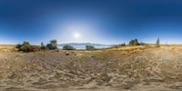 a panorama lens shot of a dog standing in the dirt and hills under a clear blue sky