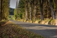 an empty road lined with trees between two separate sides of the road and mountains beyond