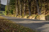 an empty road lined with trees between two separate sides of the road and mountains beyond