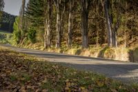 an empty road lined with trees between two separate sides of the road and mountains beyond
