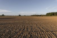 Open Space in New Zealand: Low Grass and Dirt Surface