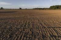 Open Space in New Zealand: Low Grass and Dirt Surface