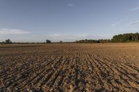 Open Space in New Zealand: Low Grass and Dirt Surface