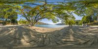 a 360 view photo of the beach and water and trees with a bike rack below it