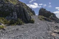 New Zealand Landscape: Majestic Mountains and Lush Green Grass