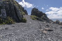 New Zealand Landscape: Majestic Mountains and Lush Green Grass