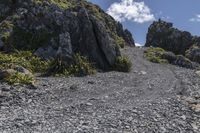 New Zealand Landscape: Majestic Mountains and Lush Green Grass