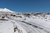 New Zealand Landscape: Mountain Road During the Day