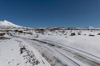 New Zealand Landscape: Mountain Road During the Day