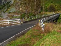 New Zealand's Mountain Landscape: Asphalt Bridge View