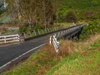 New Zealand's Mountain Landscape: Asphalt Bridge View